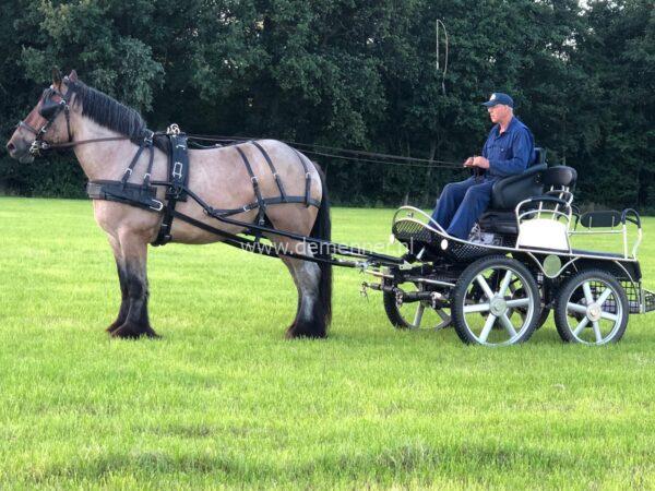 Draft Horse Harness MARATHON Ideal Equestrian