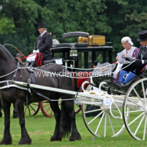 fries borsttuig enkelspan