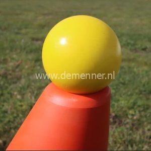 Menkegelbal  FEI goedgekeurd