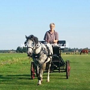 Einspänner Brustgeschirr SL SPORTZ Zilco