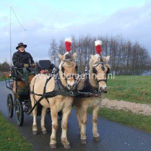 verenpluim klokkenspel bellentuig